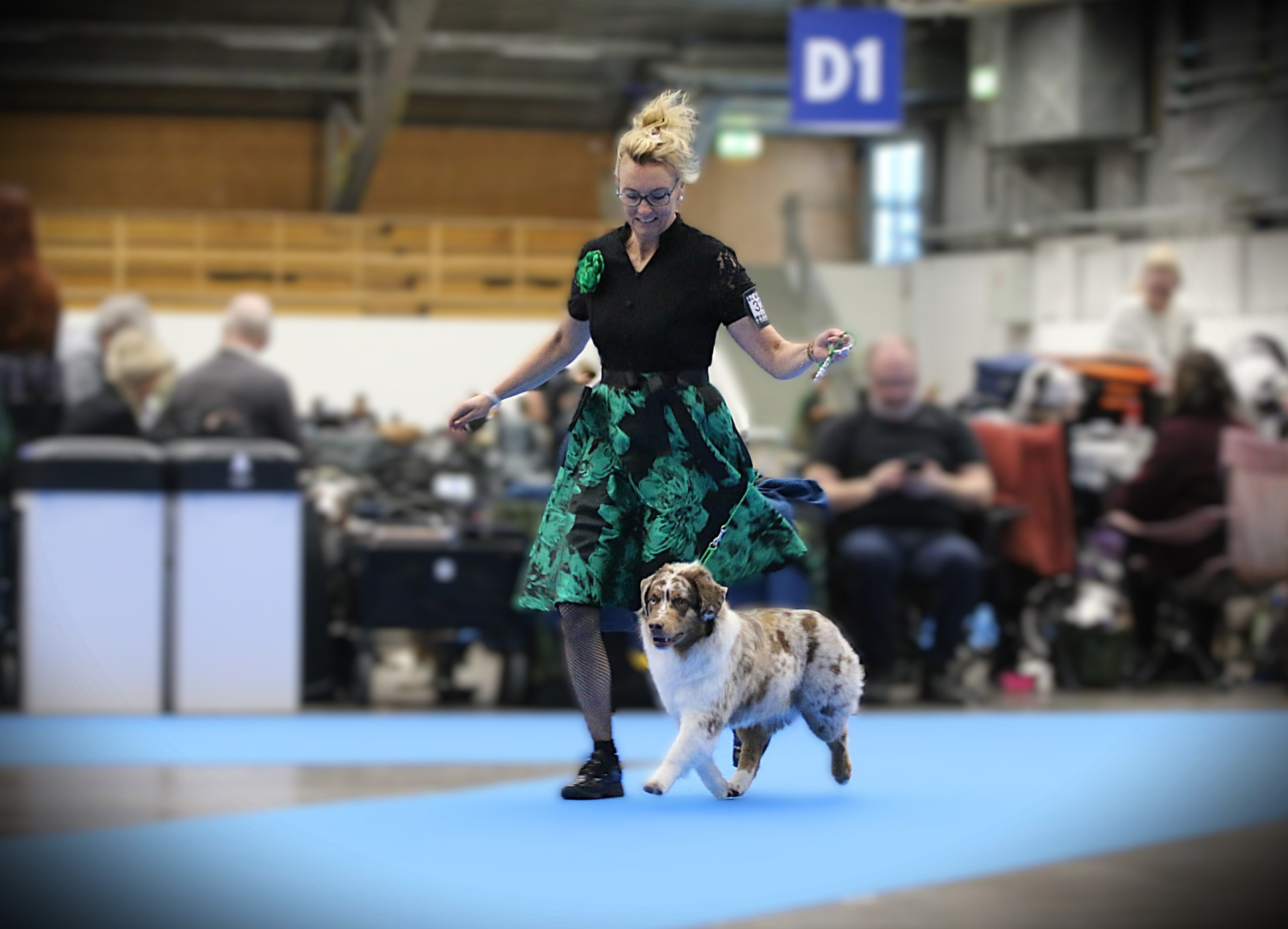 BIR VALP- AGRIA DOG SHOW -26 (14 st valp)